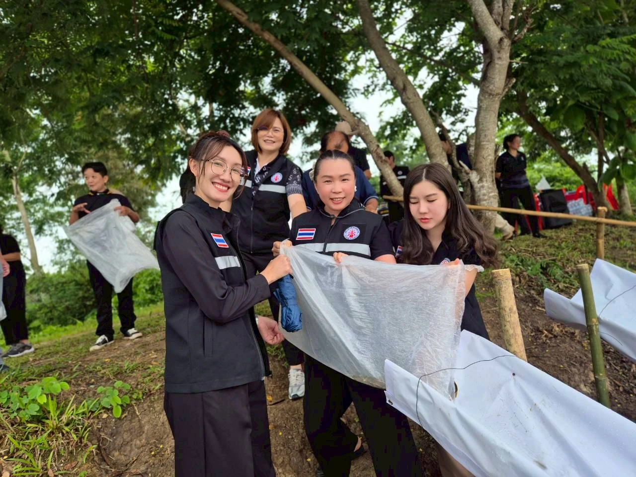 catalogs_file_198_58_34_400334.webp